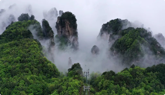 张家界国家森林公园推出五条“影视+旅游”文旅线路