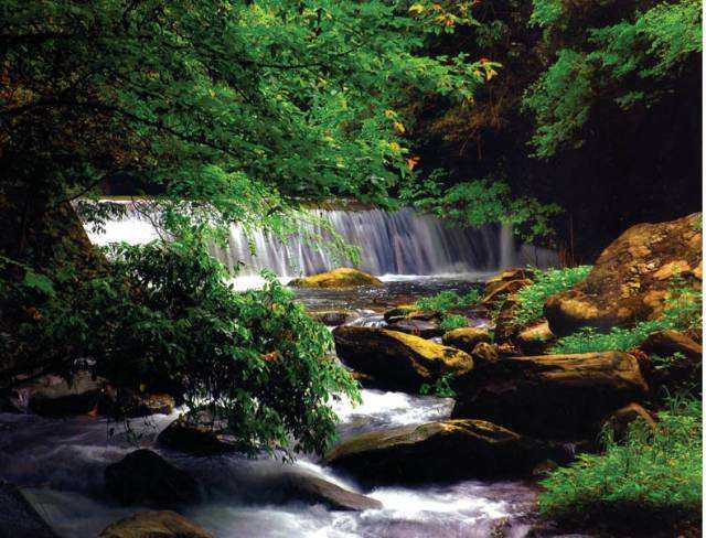 20190425511250.jpg timg (7).jpg