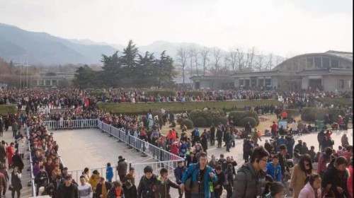 20190425867715.jpg 36.jpg