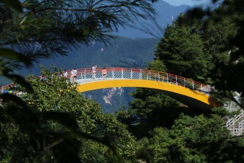 20190428744242.jpg 12.jpg