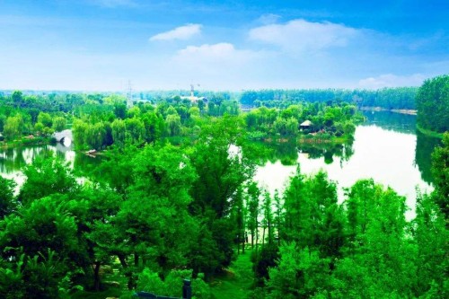 20190506498487.jpg 2.jpg