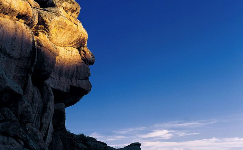 1638414162224546.jpg 4.jpg