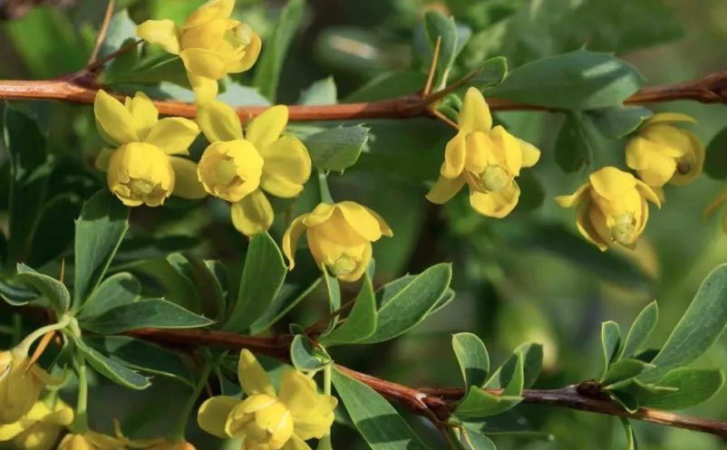 1638414168379200.jpg 5.jpg