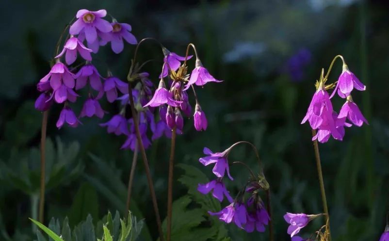 1638414172490042.jpg 6.jpg