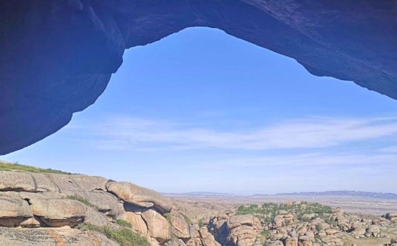 1638414182613710.jpg 8.jpg