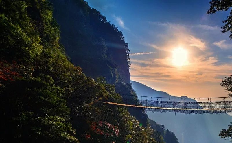 1640245860723326.png 图片.png