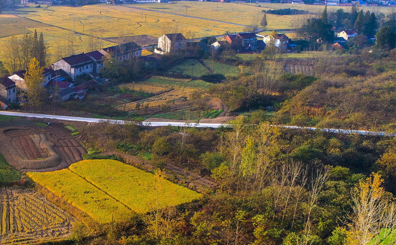 1642399246176040.png image.png