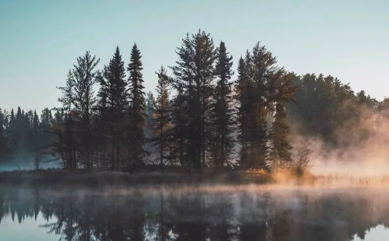 1647333457931758.png image.png