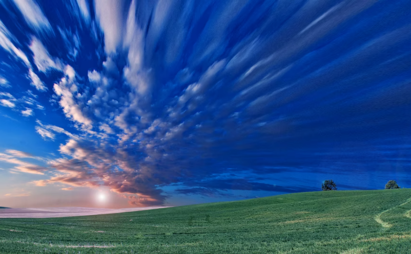 1647333473376979.png image.png