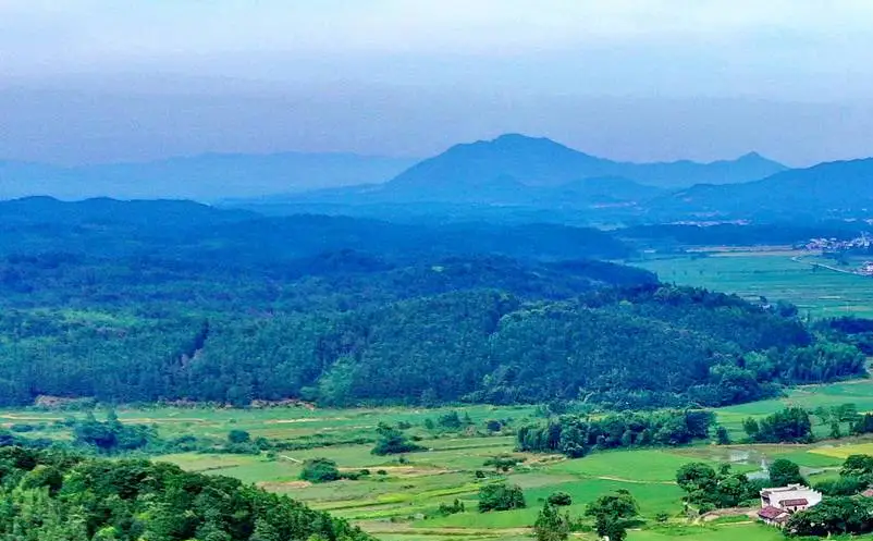 1647333783690977.png image.png