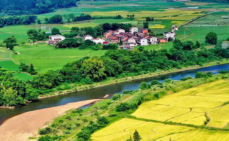 1647333799311867.png image.png