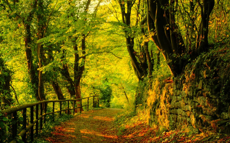 1649916530297735.png image.png