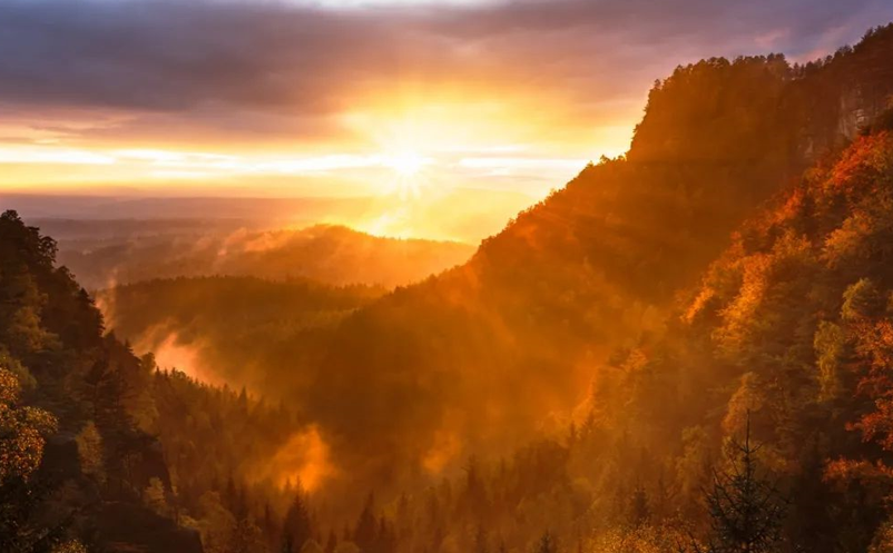 1650866226415211.png image.png