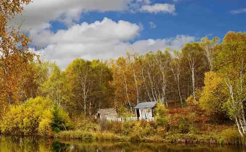 1650866930509006.png image.png