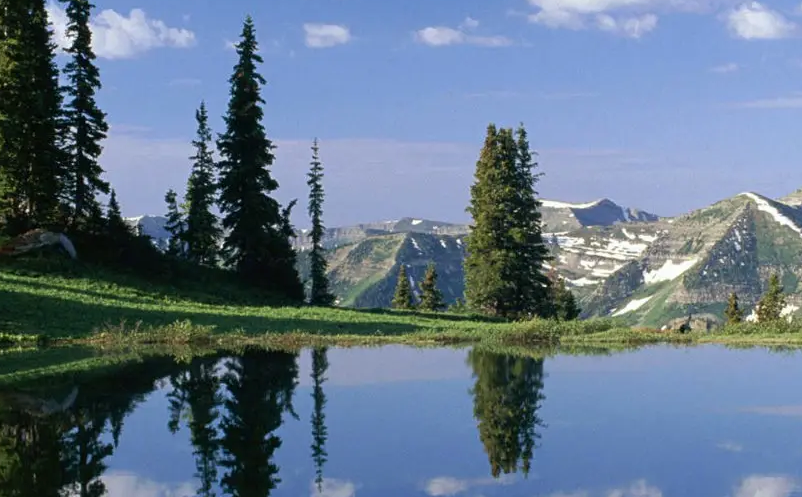 1651907745877558.png image.png