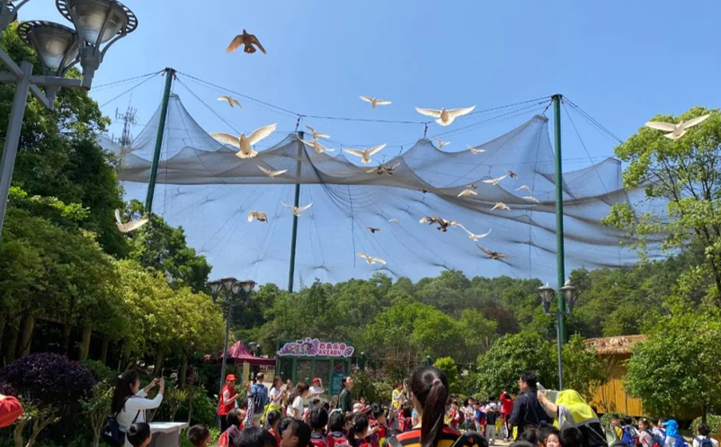 1653286873776680.png image.png