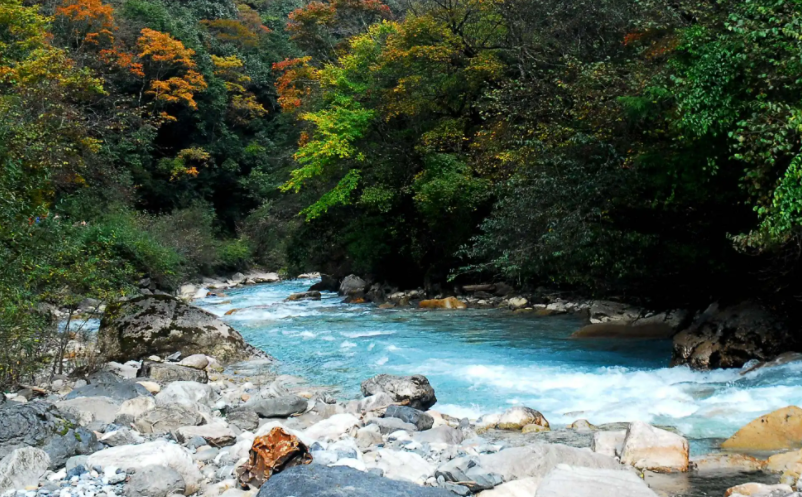 1655456921276441.png image.png