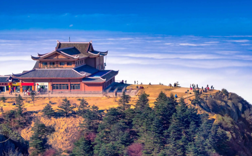 1657595542553968.png image.png