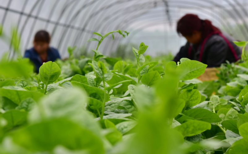 1657789150132410.png image.png