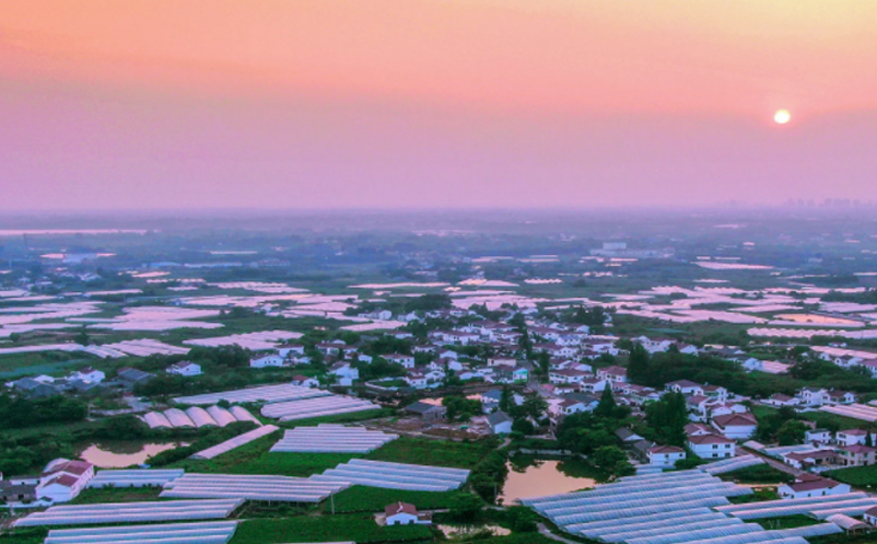 1657789167623723.png image.png