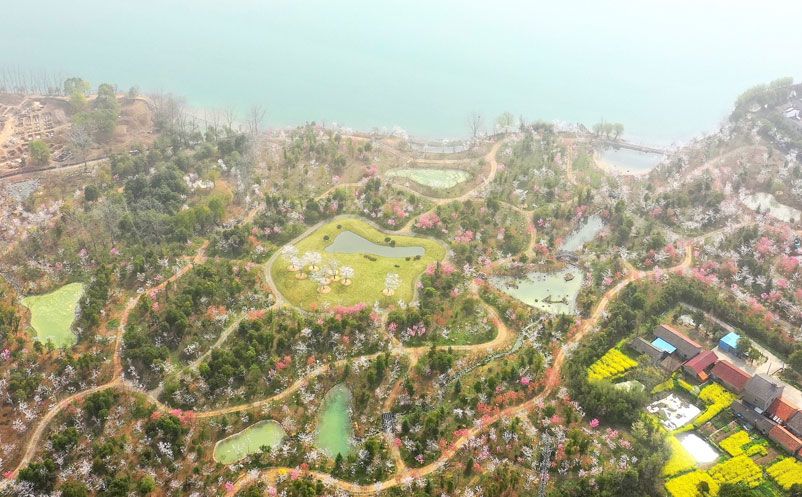 1669367012166858.jpg 1.jpg