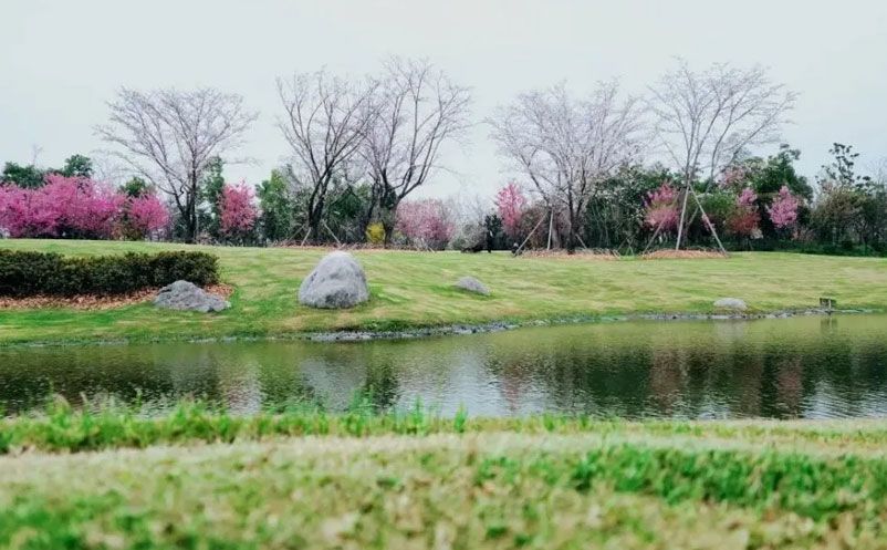 1669367021615073.jpg 2.jpg