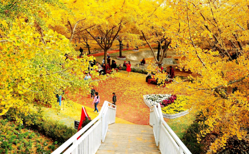 1670477258922654.png image.png