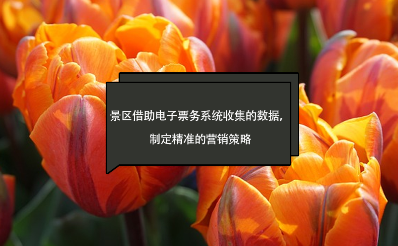 1716450128690324.png image.png