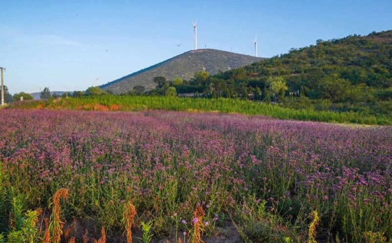 1756710219571842.jpg 2.jpg